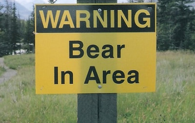 warning, bear in area