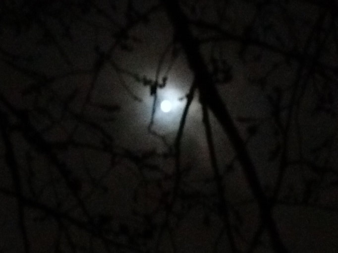 winter solstice moon