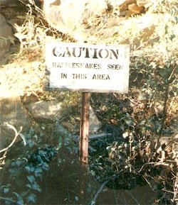 caution, rattlesnakes