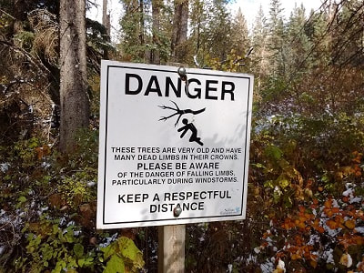 danger, falling tree limbs