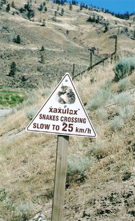 snakes crossing slow to 25 km/hr